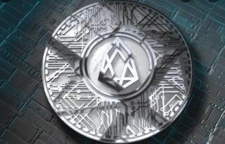 柚子币交易所app安卓 柚子币eos下载地址