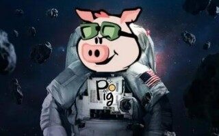 pig币app手机钱包下载 pig币安卓下载最新