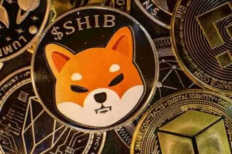 plus币的最新价格 - plus币的最新进展
