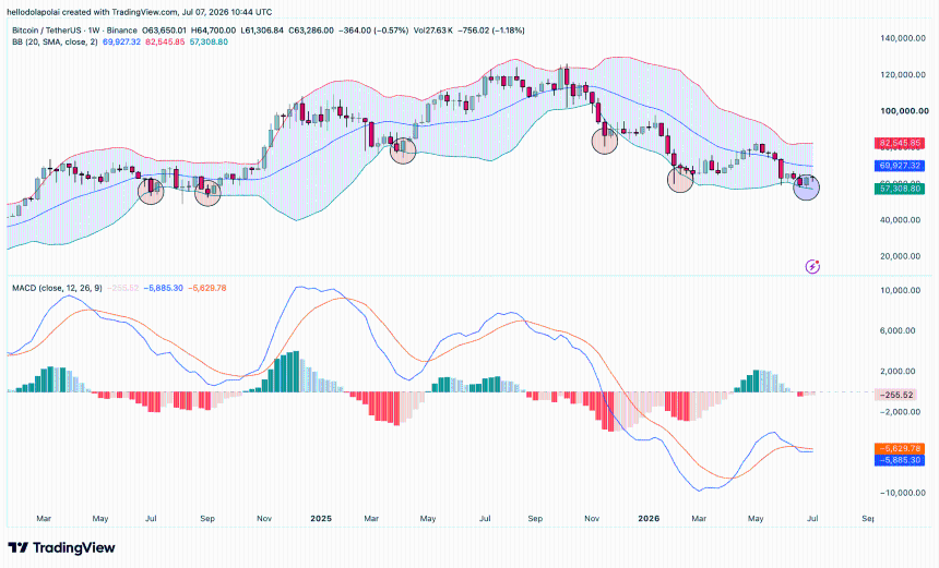  Bitcoin: BTC loses half its value, yet THIS metric shows quiet accumulation 
